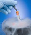 冻存胚胎会影响胚胎的发育吗?