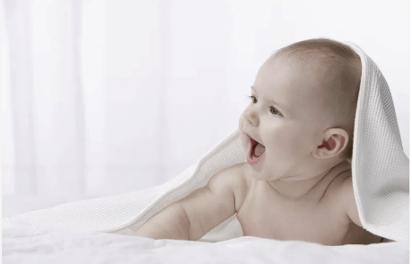 试管婴儿前吃哪种食物能够提高试管成功率？