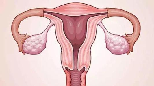 子宫内膜正常的厚度是多少?