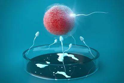 为什么试管移植了优质的胚胎还是怀不上?