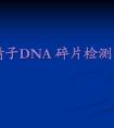 男性不育检查--精子DNA碎片