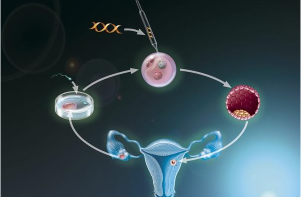 试管婴儿促排过程会引起卵巢早衰吗？