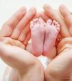 试管婴儿容易生出畸形胎儿吗？