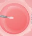 卵巢不排卵做试管婴儿成功率高吗？