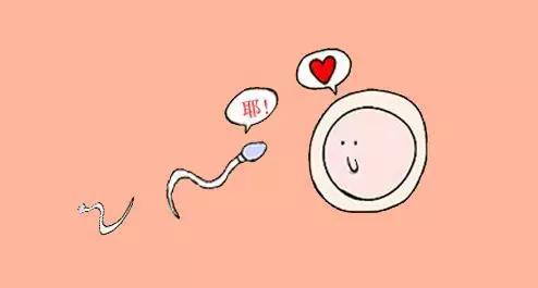卵巢功能减退怎么办？还能好孕吗？