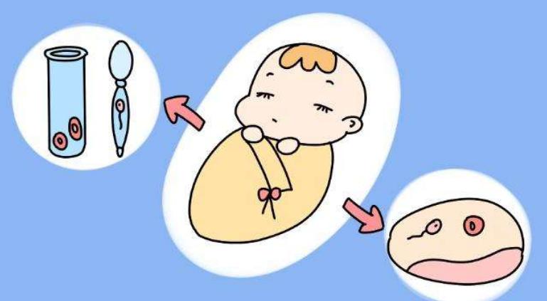 有甲亢能做广州试管婴儿吗？