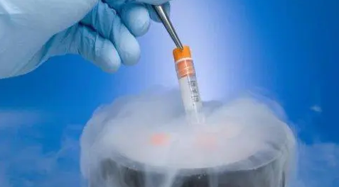 我该如何选择冻胚移植内膜准备方案?