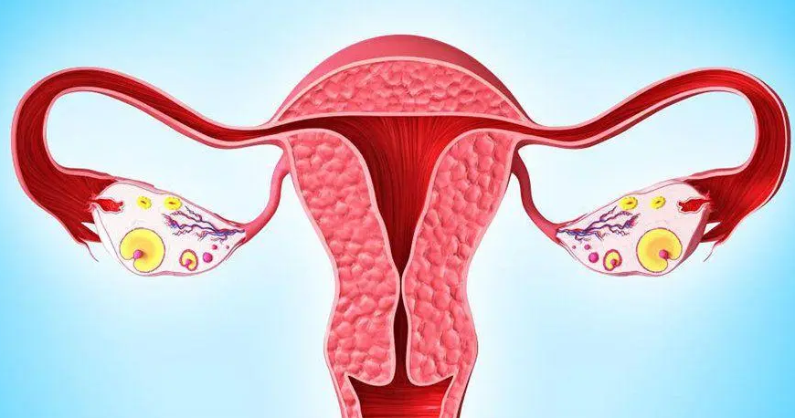 怎样避免卵巢过度刺激?