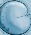 试管婴儿移植非优质胚胎成功率是不是低呢?