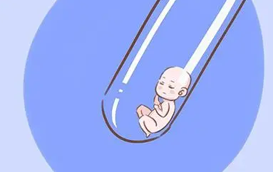 输卵管有问题去上海华山医院试管婴儿成功率