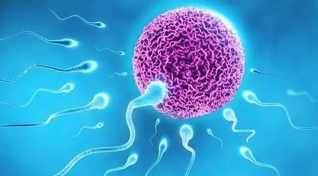 无精子症状得男性能不能通过试管婴儿得到自己得孩子?