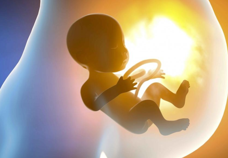 试管助孕指南：卵巢早衰基础卵泡少怎么调理？