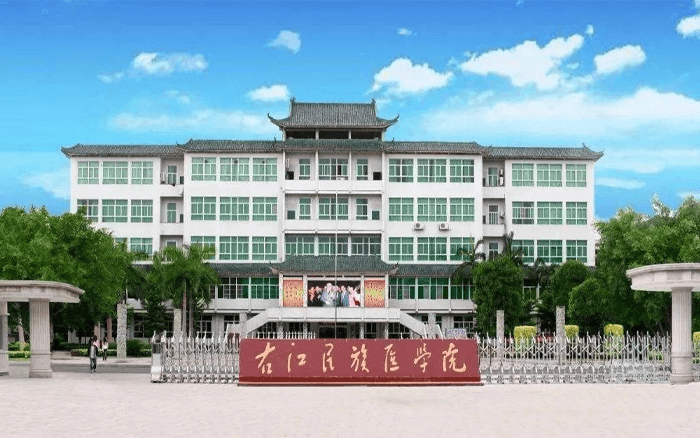右江民族医学院附属医院(图1)