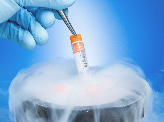 单胚胎移植成功率更高吗