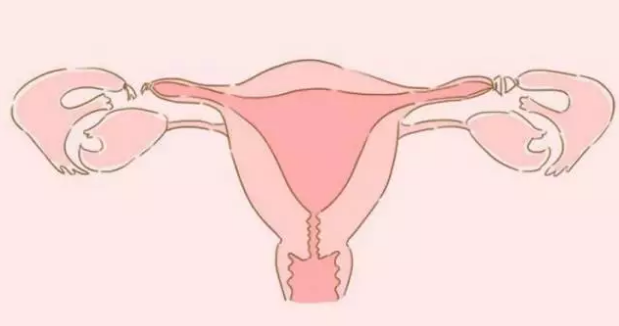 双子宫可通过试管助孕，但移植时可能会受到这些影响