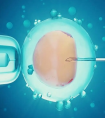 胚胎移植哪个方案成功率最高?选对了可让试管成功率直线上升!