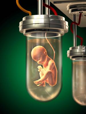 二代试管移植囊胚成功率可达60%
