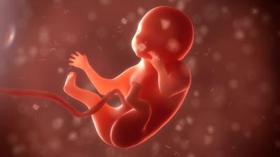 第三天胚胎碎片率为15%是正常的