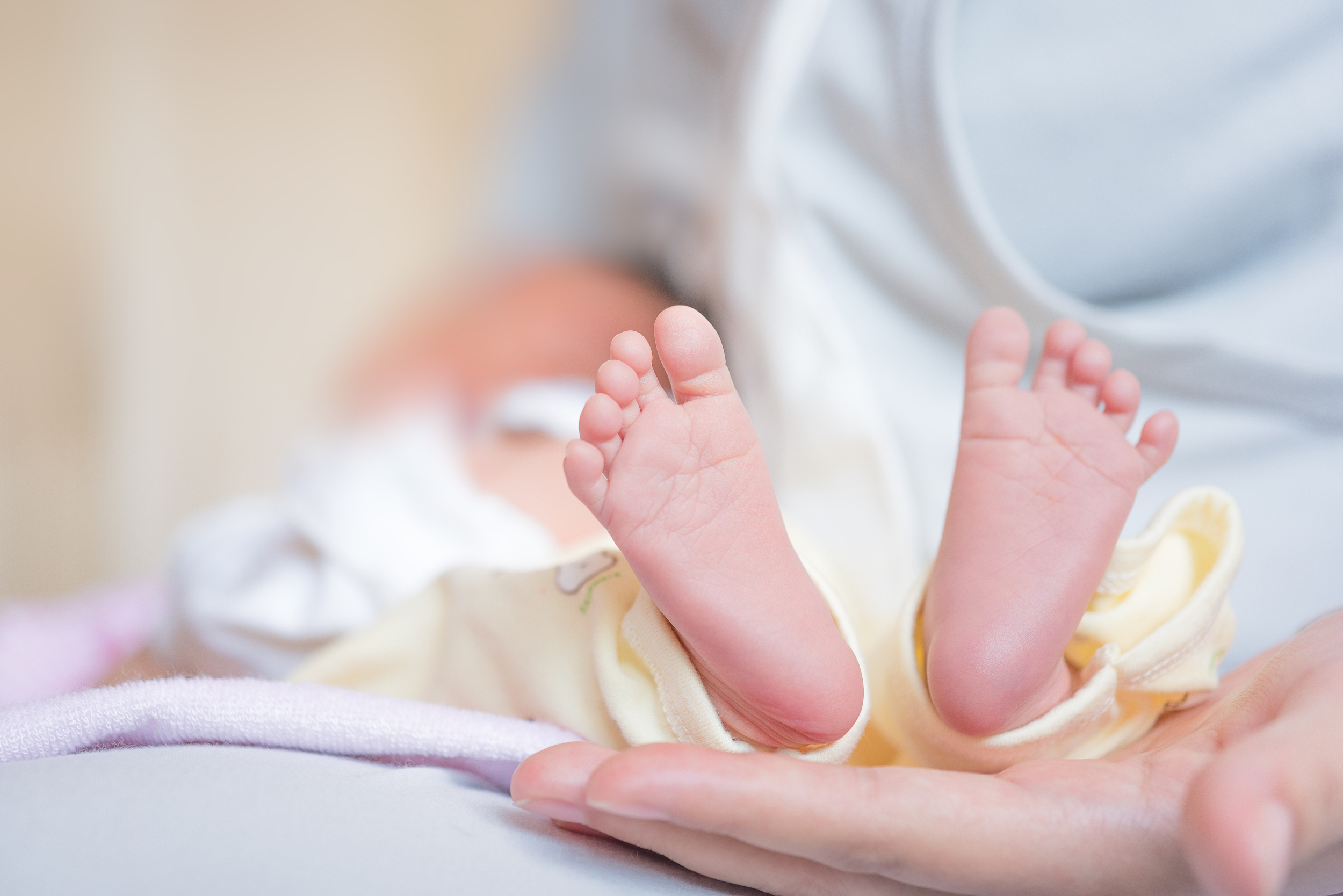 内分泌失调会影响到试管婴儿的成功率吗？