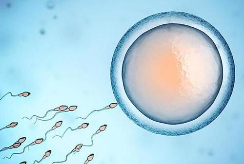 男人弱少精子，只能做试管婴儿解决吗?